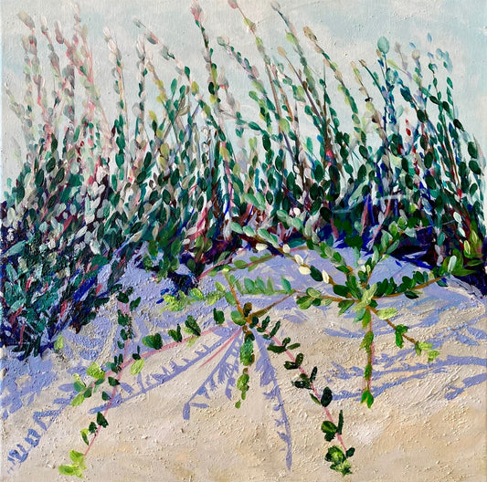 Salix repens - Nana Bryder ART