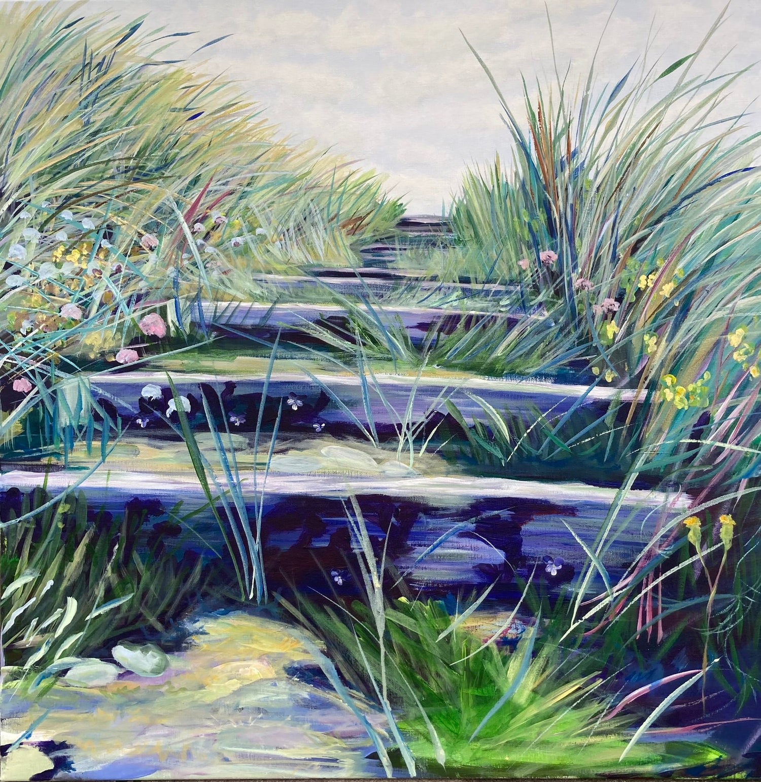 LANDSCAPE & CLOSE UP
