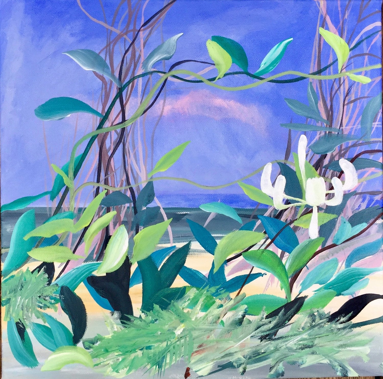 Wild orchids