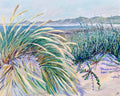 From the Dunes on Nordstrand