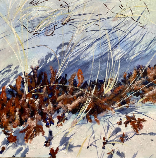 Vinterfarver på Nordstrand