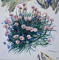 Flowergrass in the sand - Nana Bryder ART