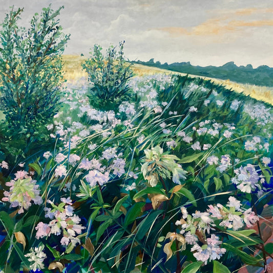 Soapwort field in the afternoon - Nana Bryder ART