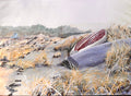 Winter boats - Nana Bryder ART